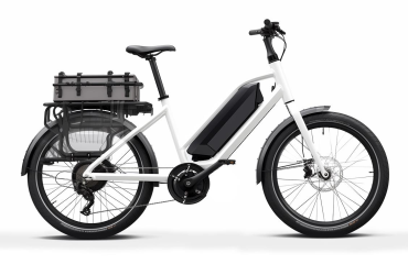 Smart System for a Hub-drive ebike